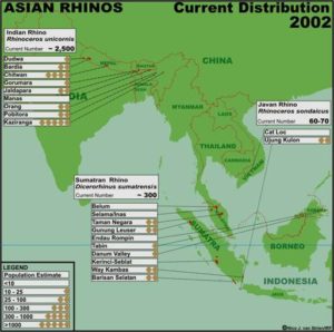 asian-rhino-map